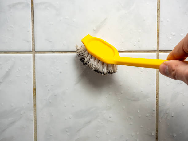 Best Attic Mold Removal  in Wharton, TX
