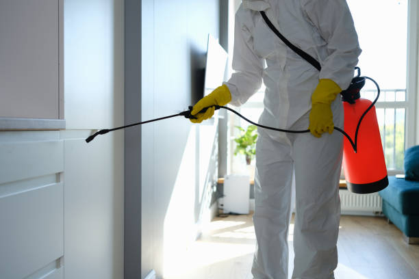 Best Office Mold Removal Services  in Wharton, TX