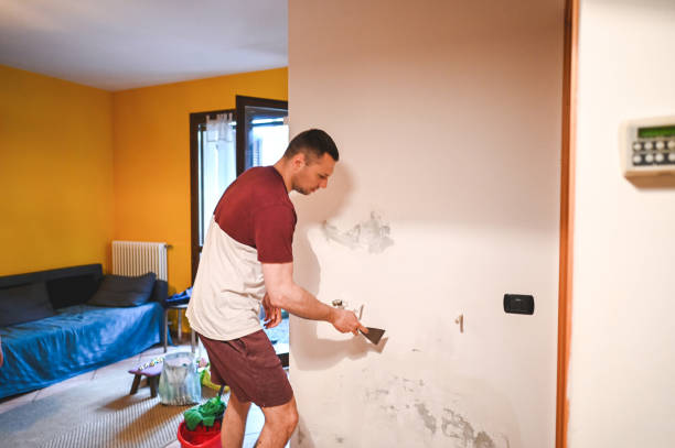 Best Affordable Mold Removal  in Wharton, TX