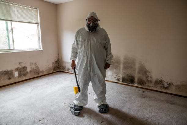 Best Home Mold Removal  in Wharton, TX